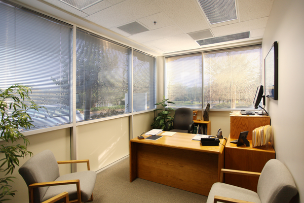 Modern private office with large windows, natural light, and minimal furnishings including a wooden desk, two grey chairs, and indoor plants—designed for small teams seeking a quiet, professional workspace.